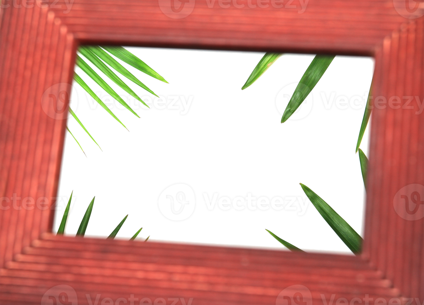 tropical nature green palm leaf in picture frame on transparent background png file