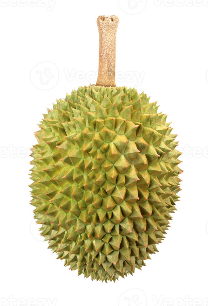 Durian on transparent background png file