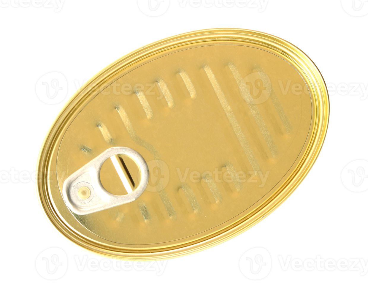 Oblong can with ring pull on transparent.top view png file