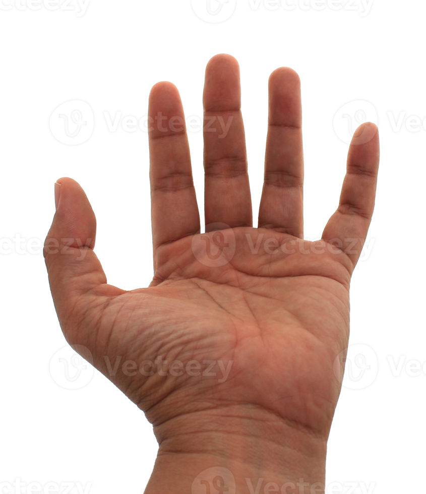 Hand auf transparentem Hintergrund png-Datei png