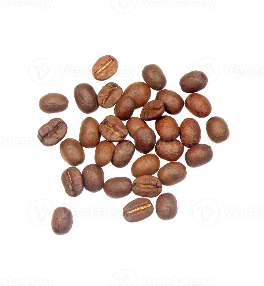 coffee beans isolated on transparent background png file