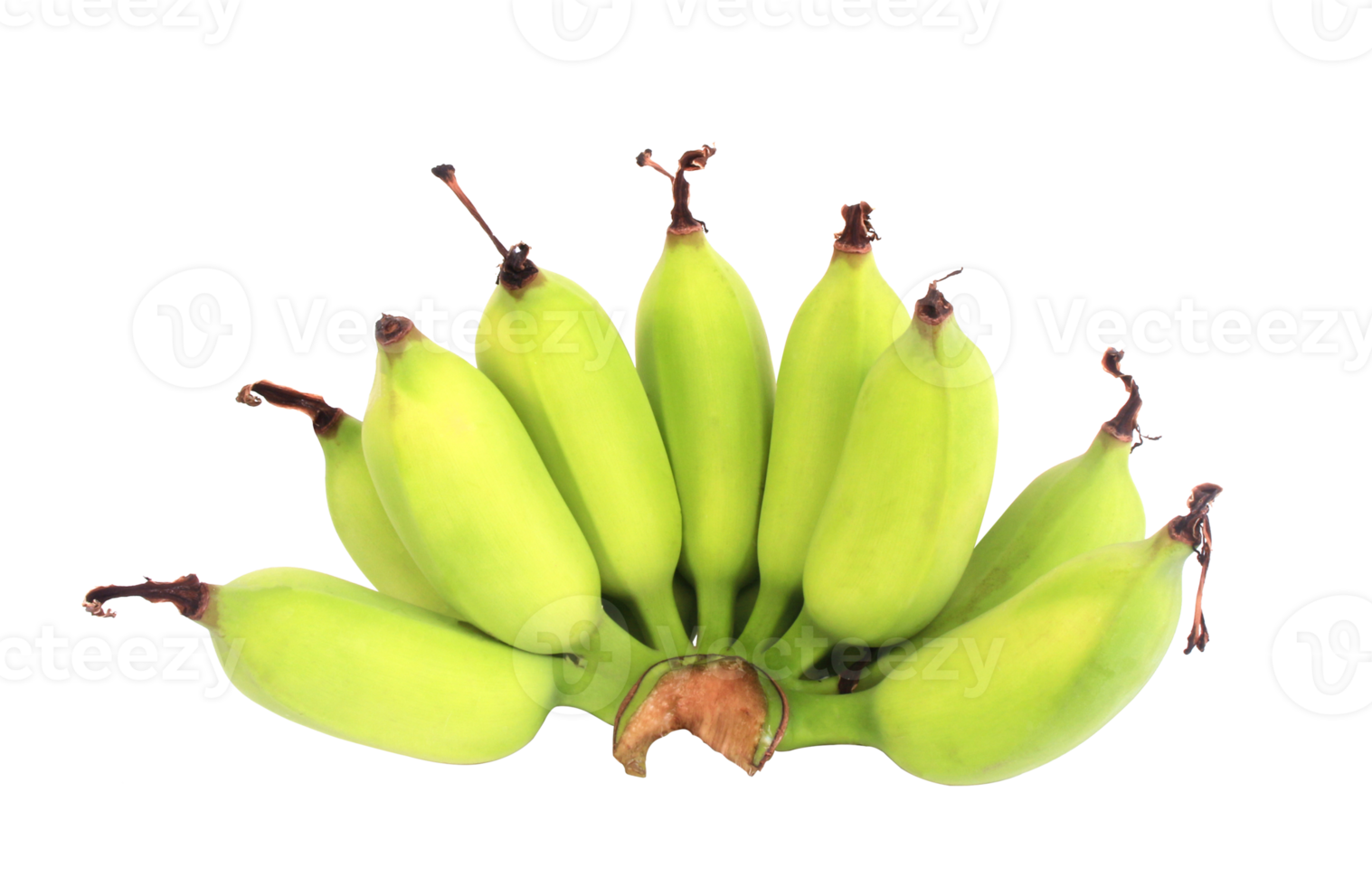 fresh banana on transparent background png file