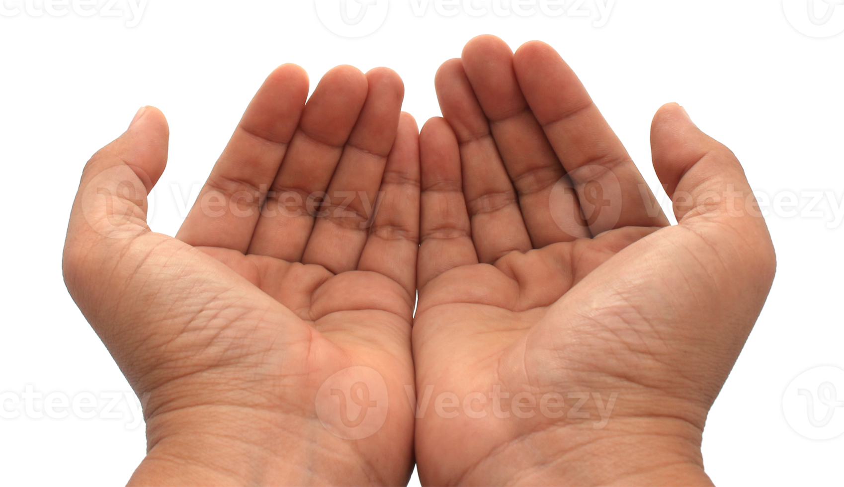 hand on transparent background png file