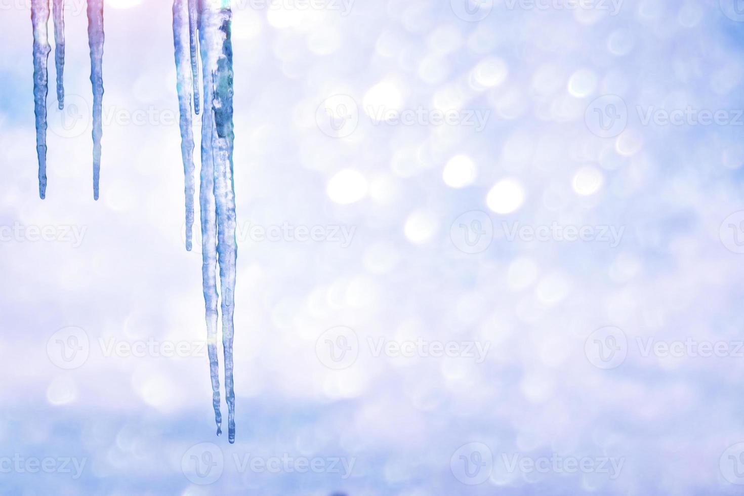 White icicles against the blue winter sky. photo