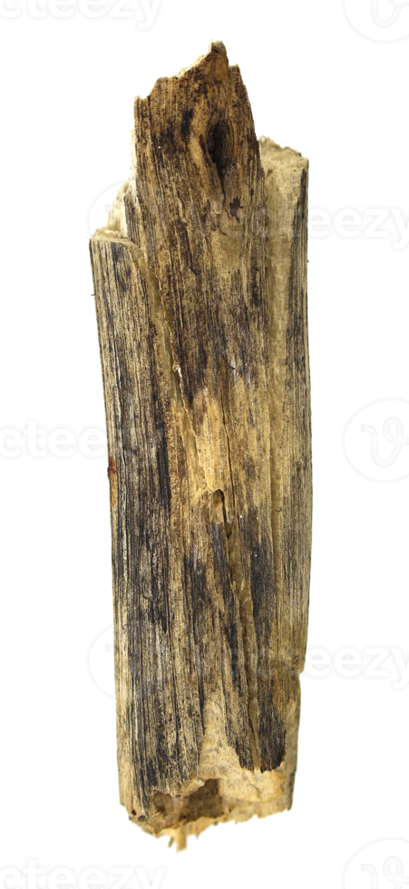 log wood on transparent background png file