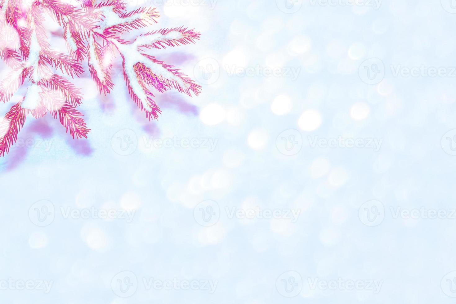 Frozen winter forest with snow covered trees. photo