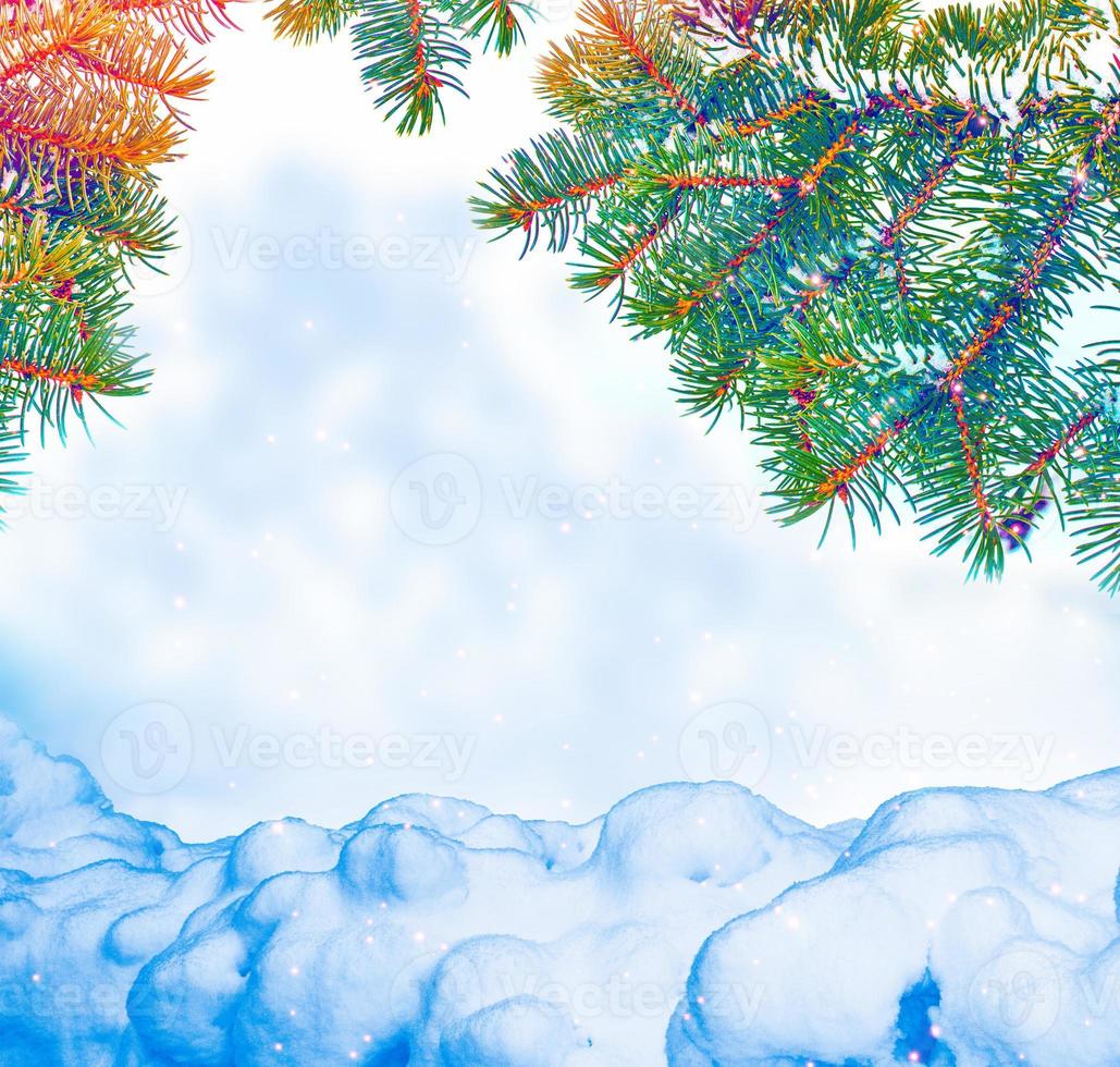 greeting card. winter forest with snow covered trees. photo