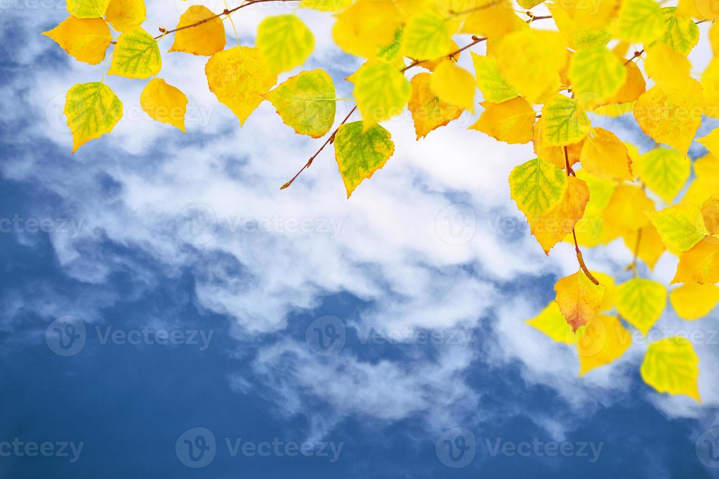 autumn landscape with bright colorful foliage. Indian summer. photo