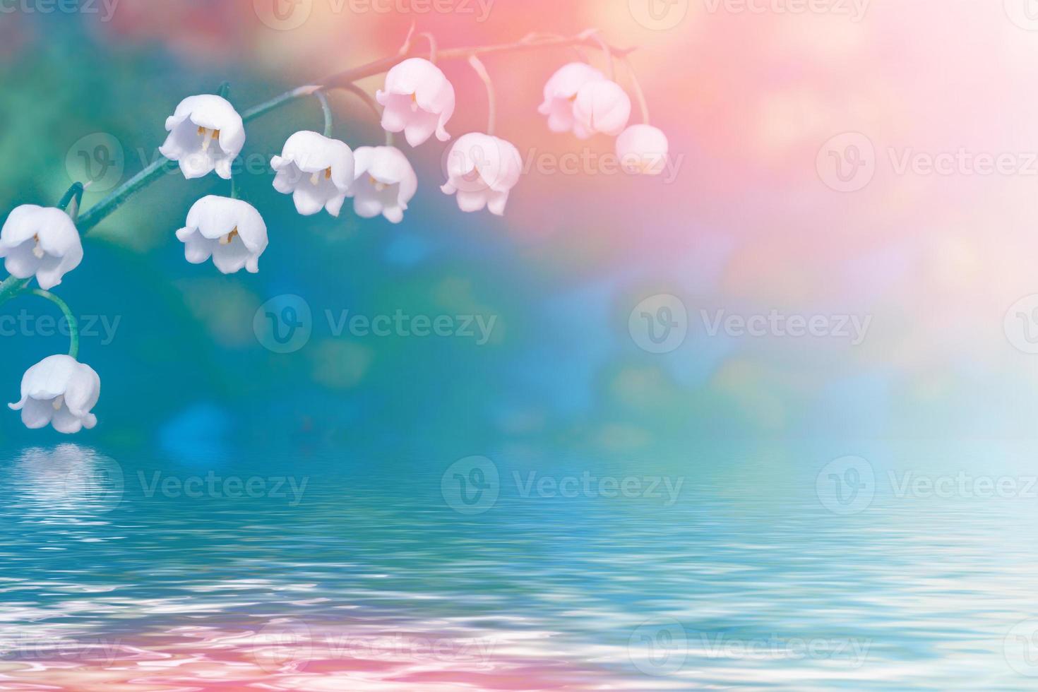 Spring landscape. flowers lily of the valley photo
