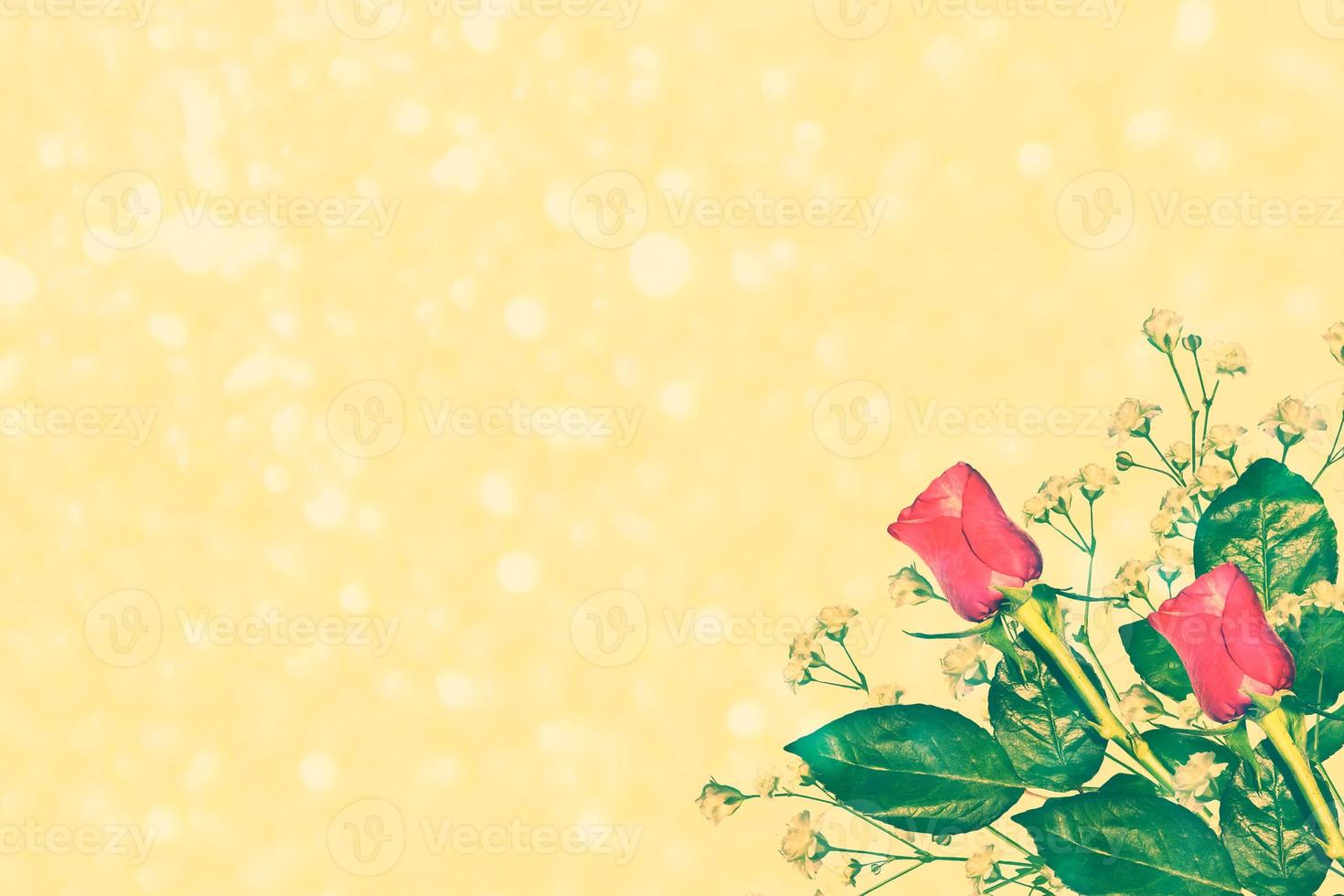 Bright colorful flower rose photo