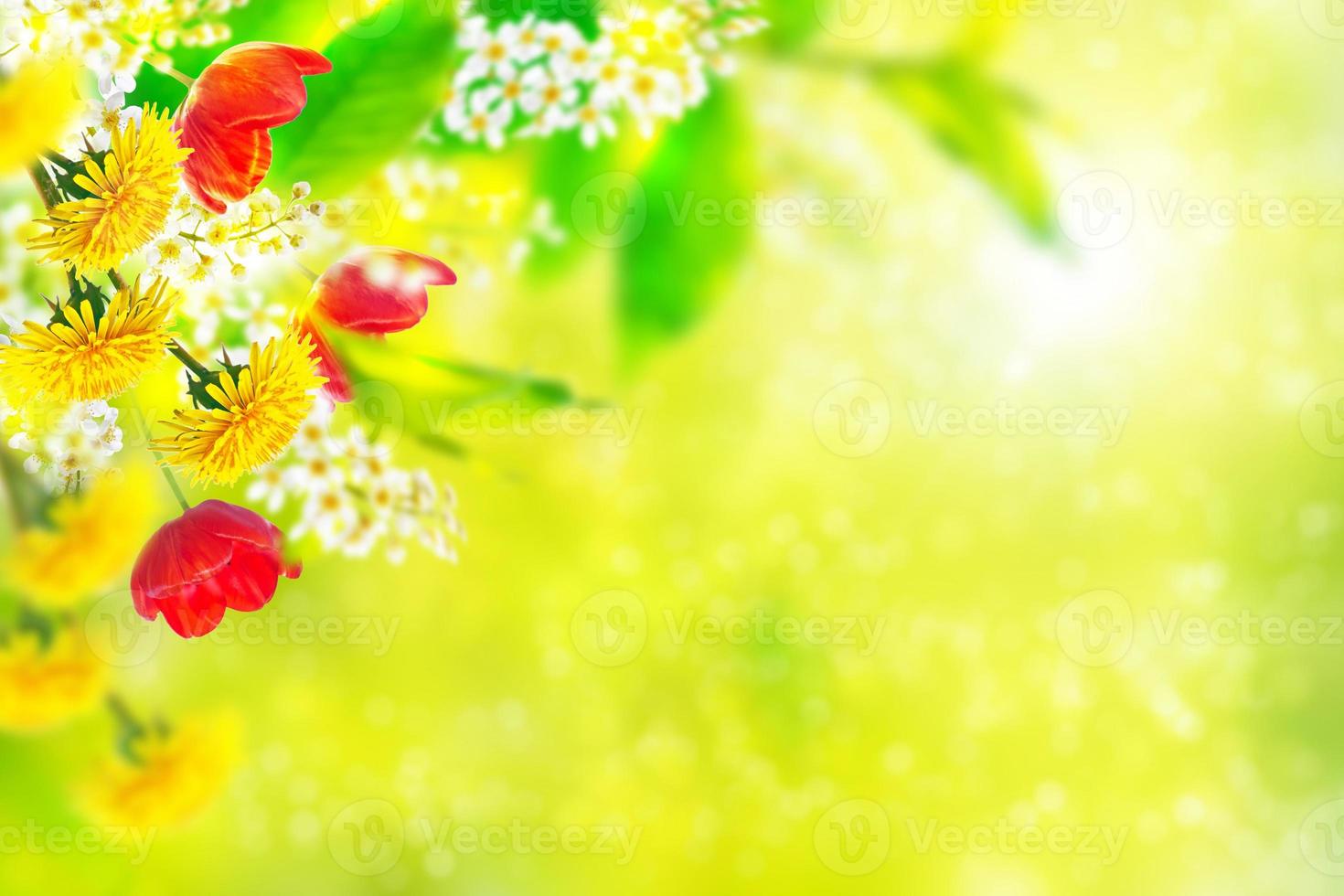 flores de primavera de colores brillantes foto