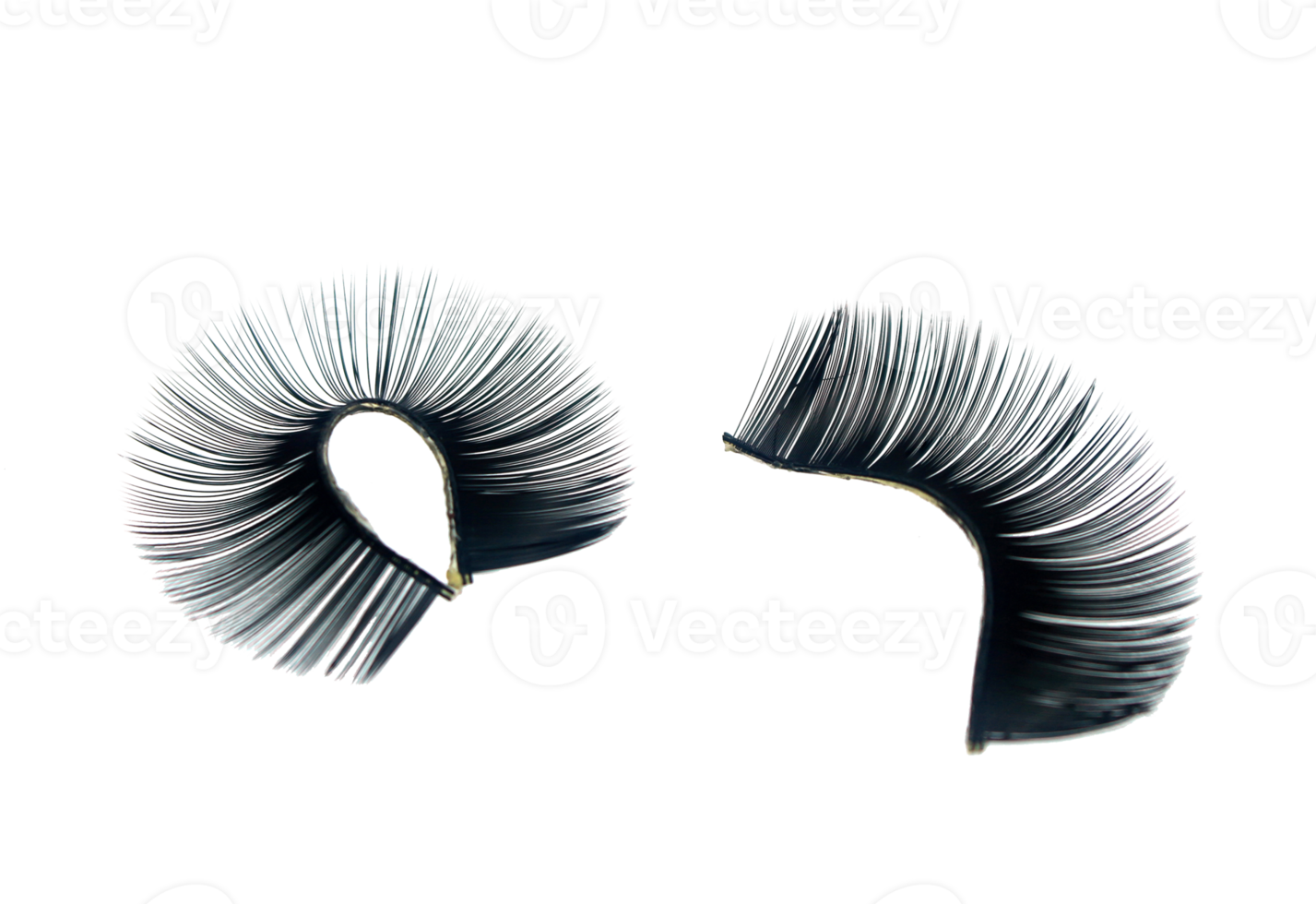 false eyelashes isolated on transparent background png file