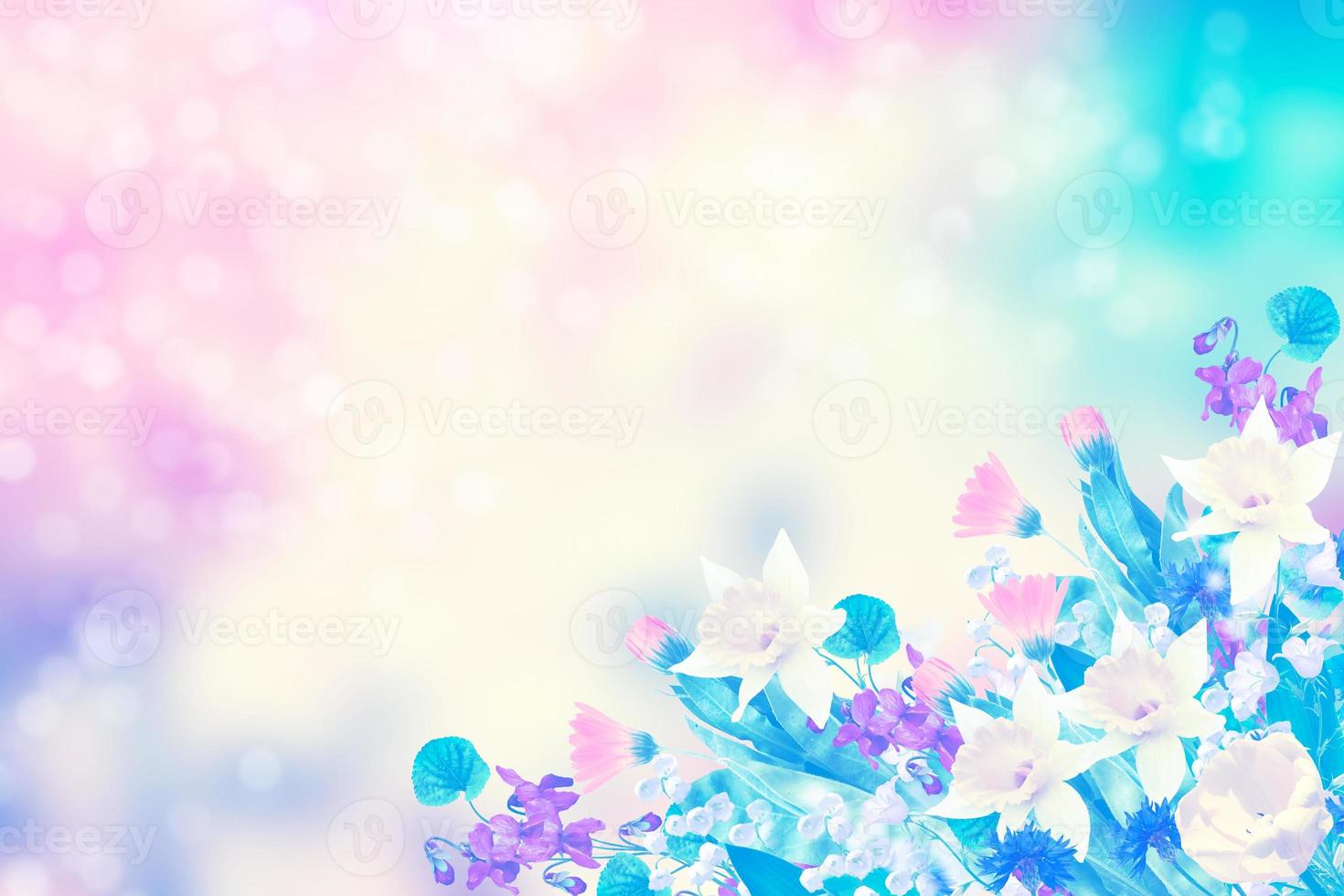 Bright and colorful flowers photo