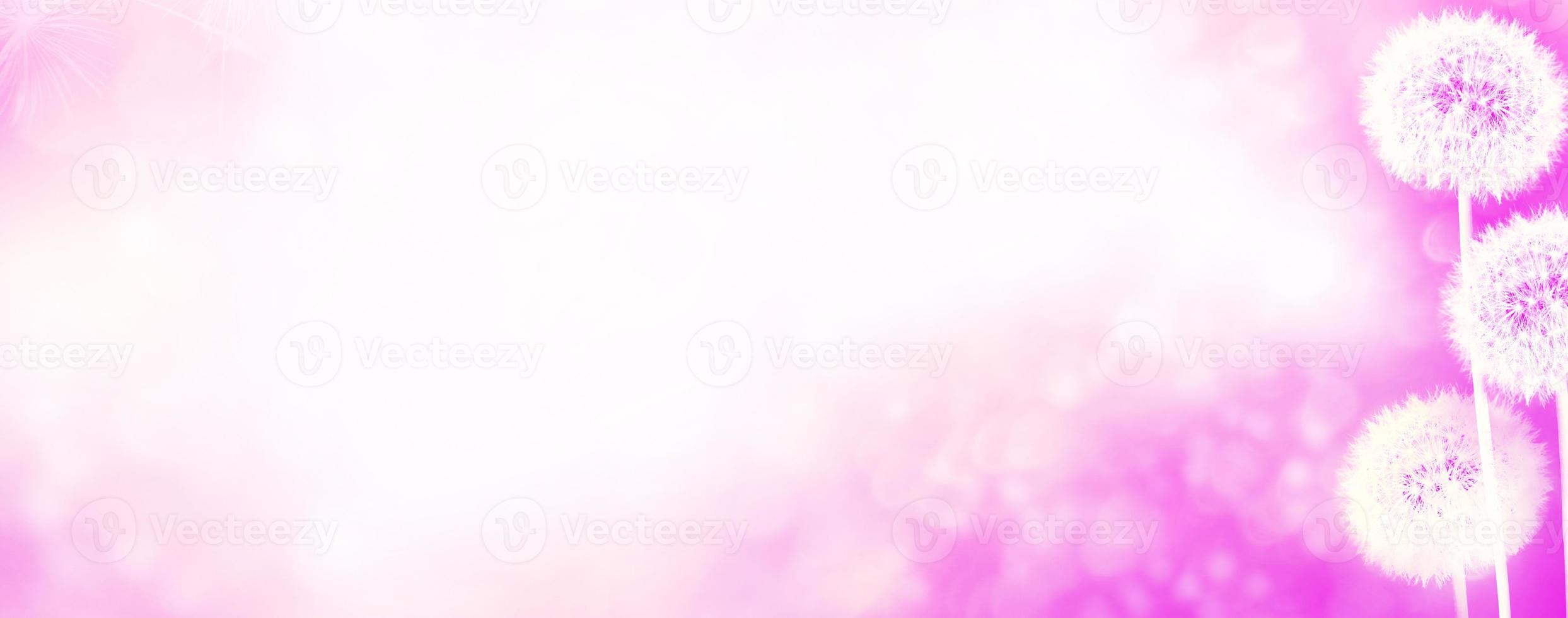 Fluffy dandelion flower against the background of the summer landscape. photo