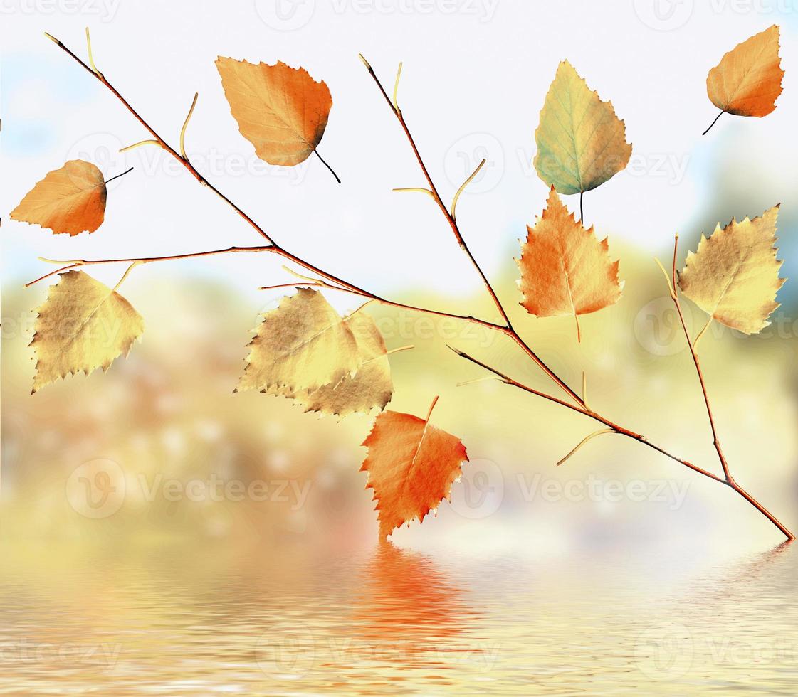 autumn landscape with bright colorful foliage. Indian summer. photo
