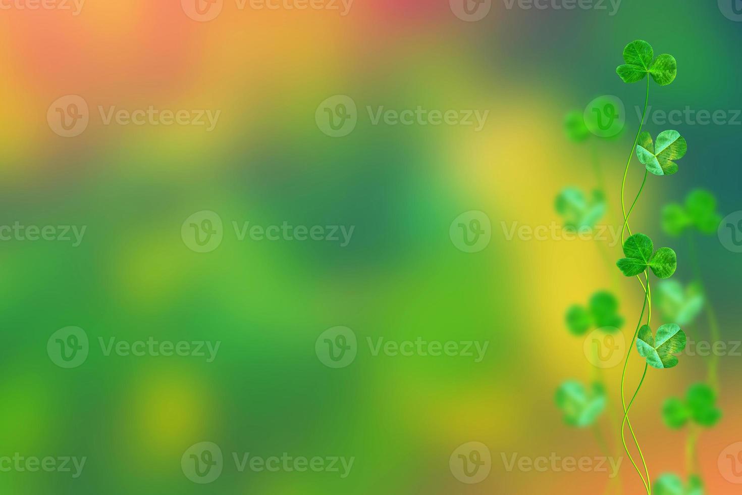 Green clover leaves on a background summer landscape. St.Patrick 's Day photo