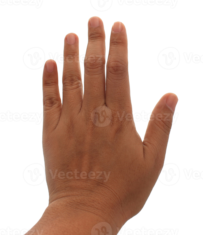 hand op transparante achtergrond png-bestand png