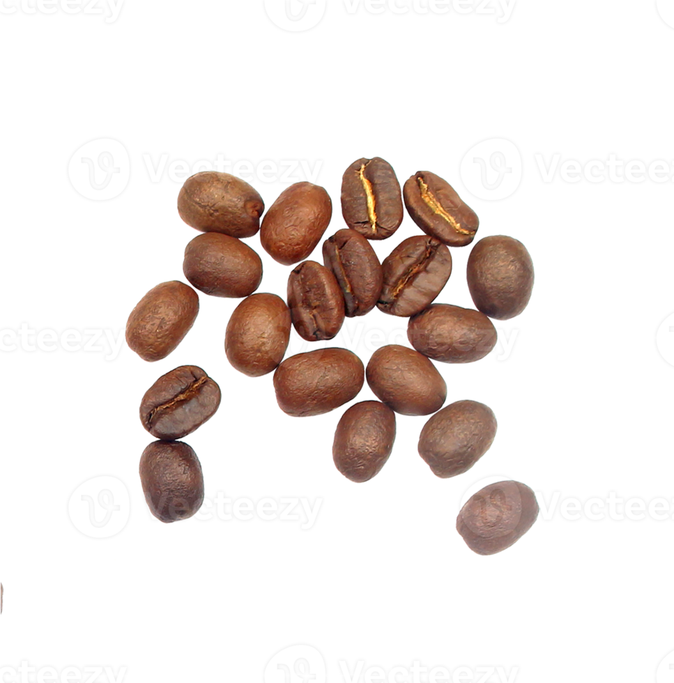 coffee beans isolated on transparent background png file