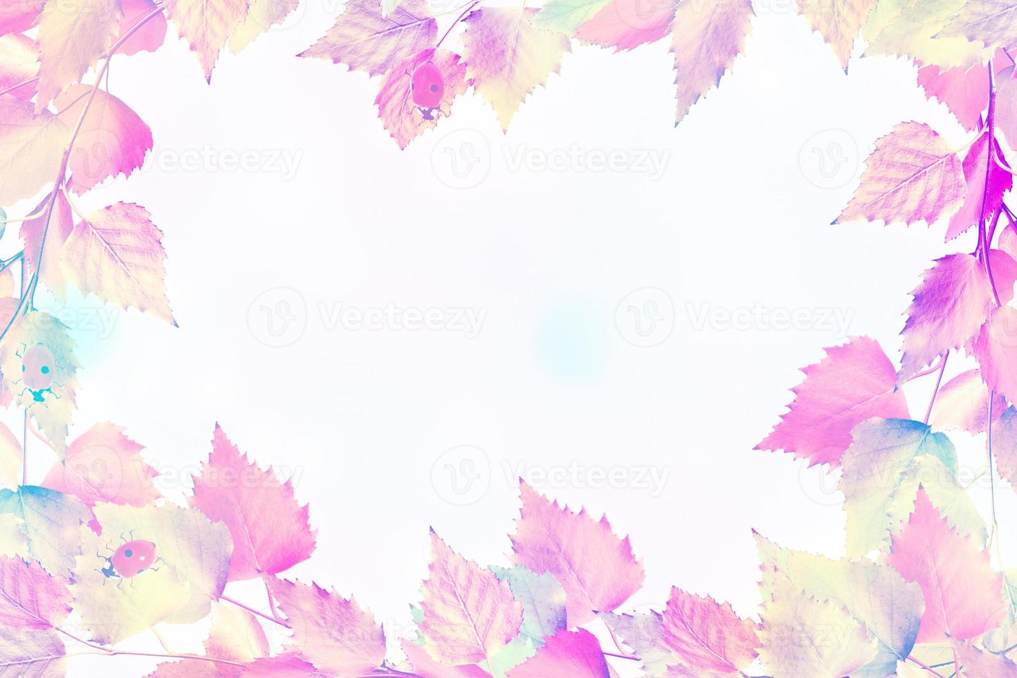 Bright colorful autumn leaves photo