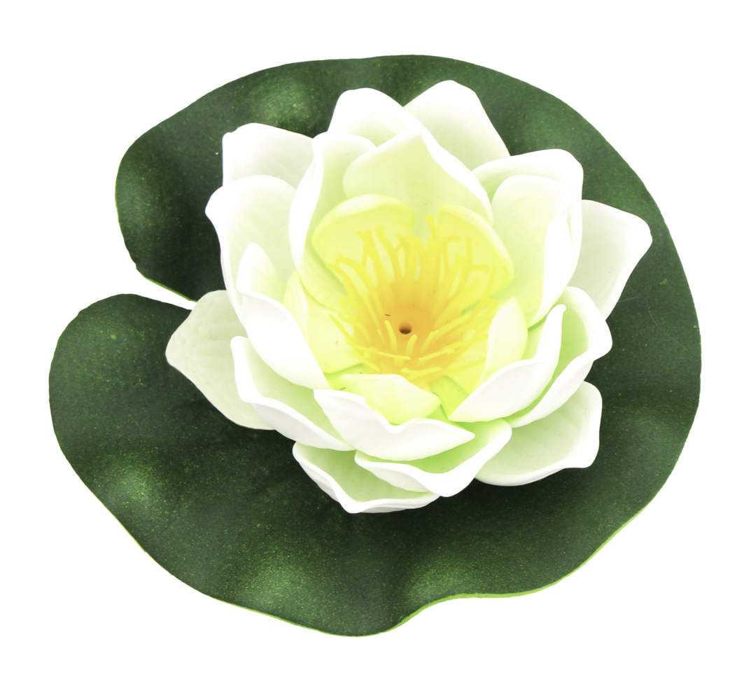 fleur de lotus isolé sur blanc fichier png