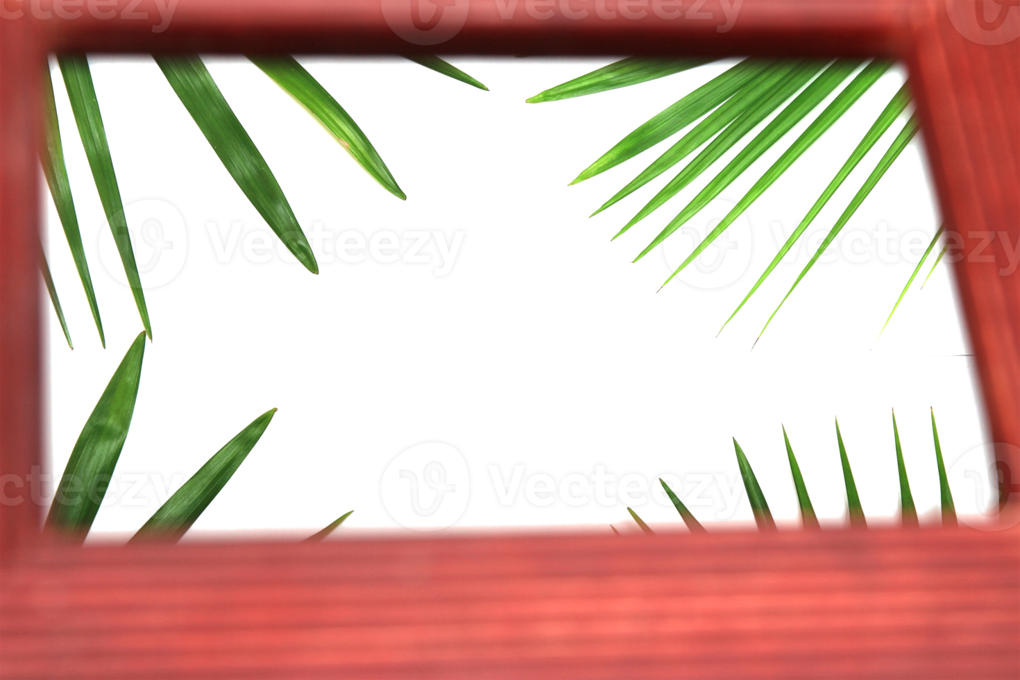 tropical nature green palm leaf in picture frame on transparent background png file