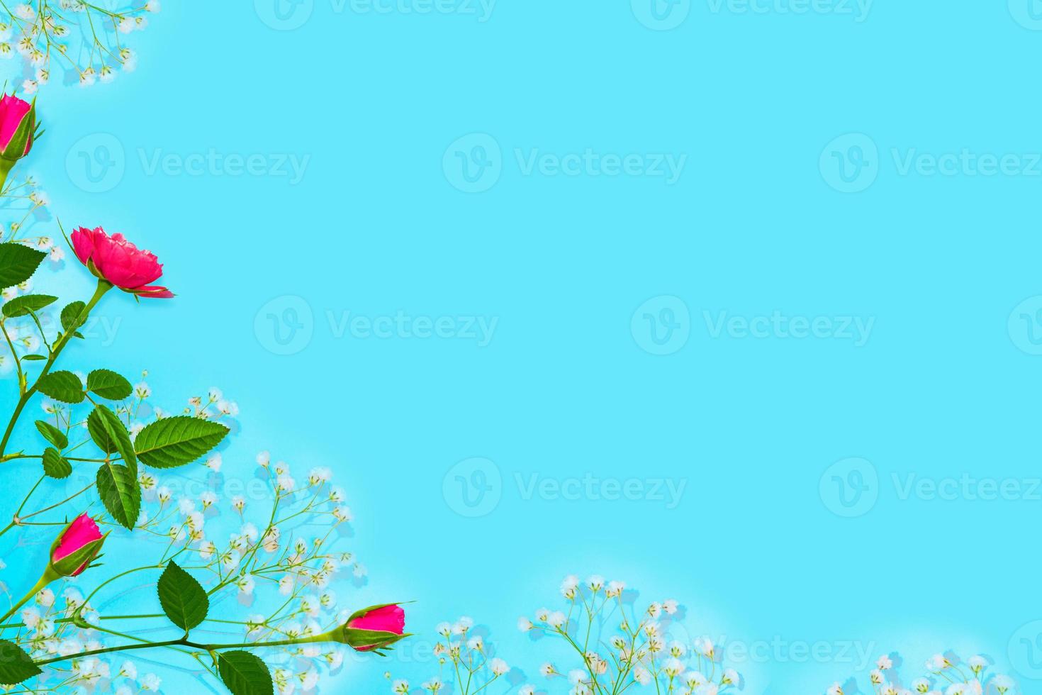 flor de colores brillantes. fondo floral abstracto. foto