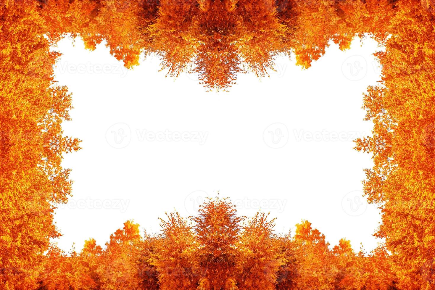 frame. Blurred autumn trees on white background. photo
