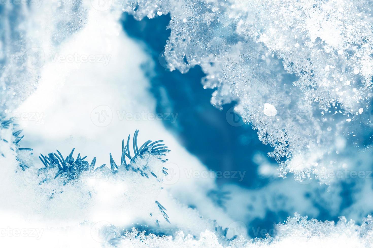 Frozen winter forest with snow covered trees. photo