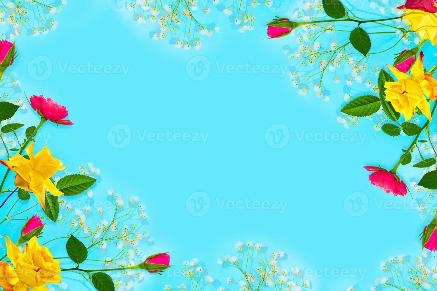 bright colorful flower. Abstract floral background. photo