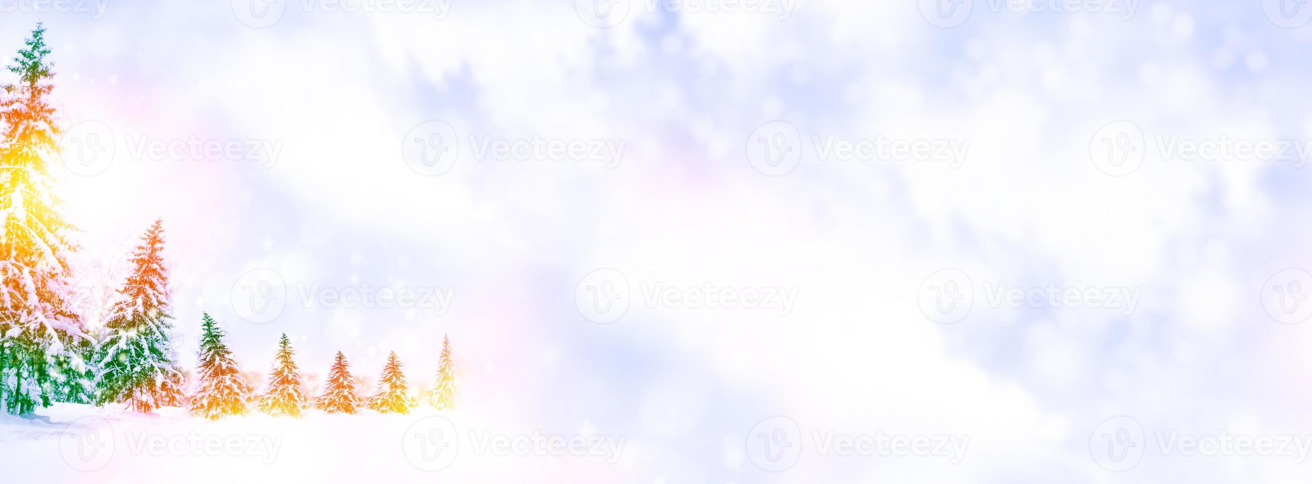 Frozen winter forest with snow covered trees. photo