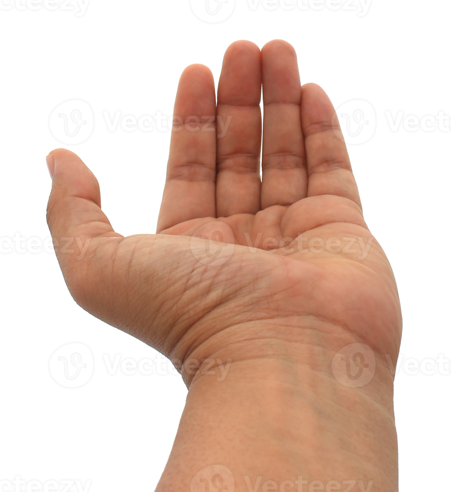 Hand auf transparentem Hintergrund png-Datei png