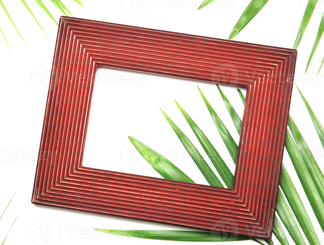 tropical nature green palm leaf in picture frame on transparent background png file