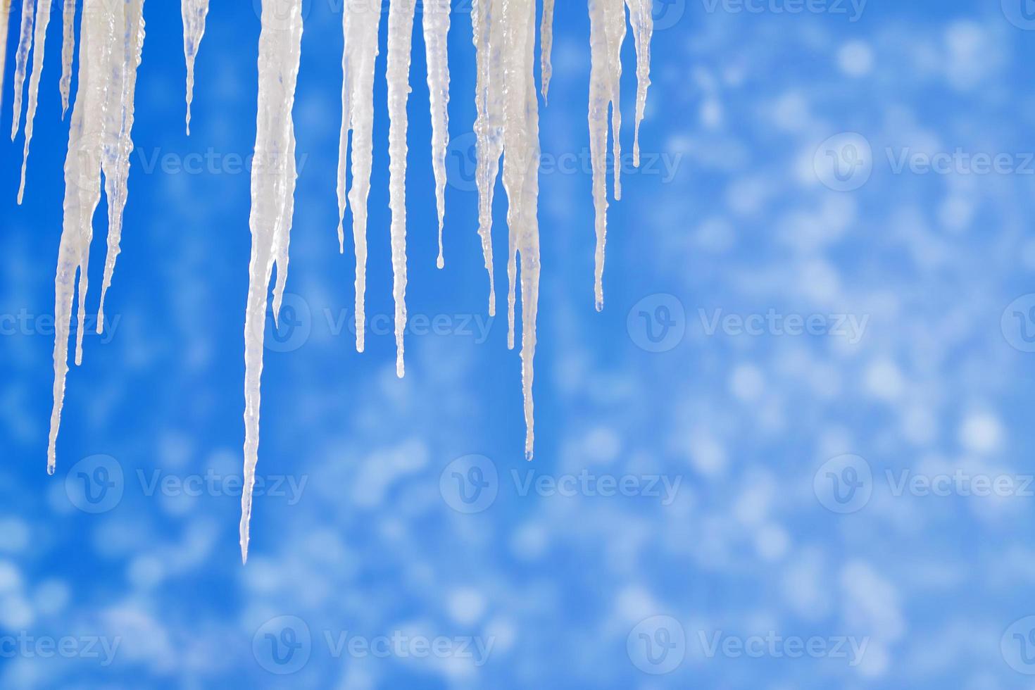 White icicles against the blue winter sky. photo