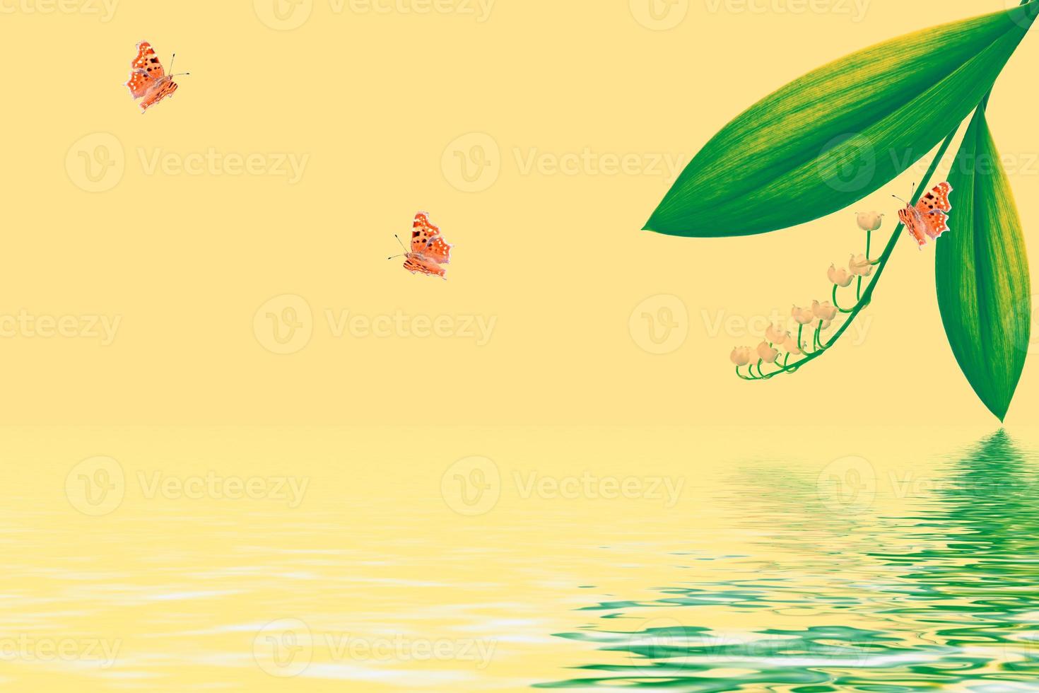 flowers lily of the valley photo