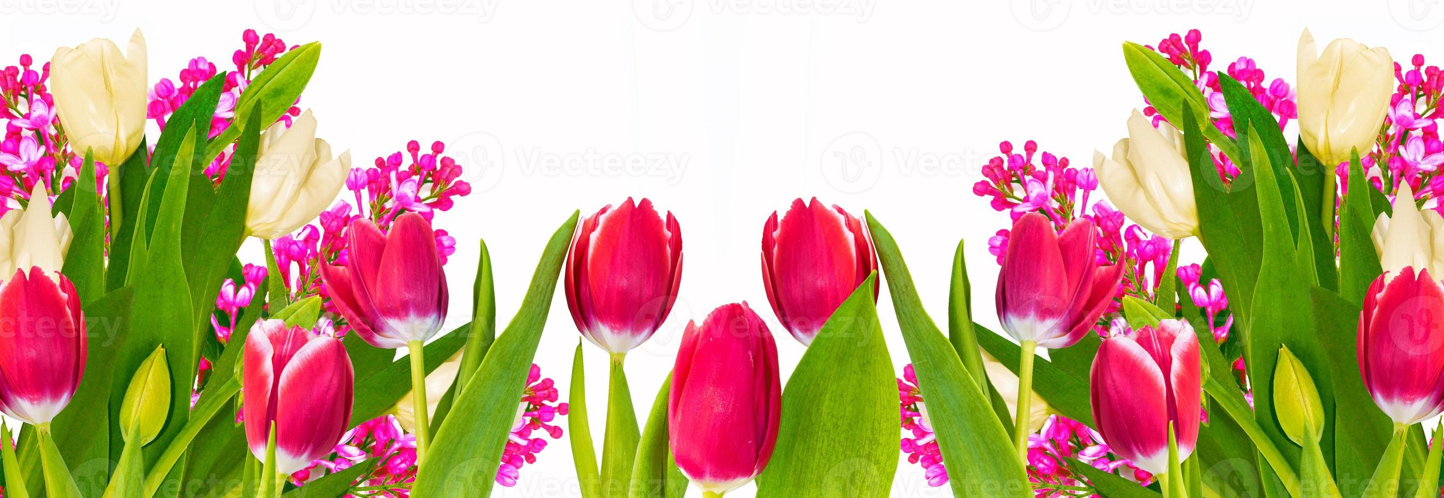 spring colorful flowers tulips, lilac. floral collection. photo