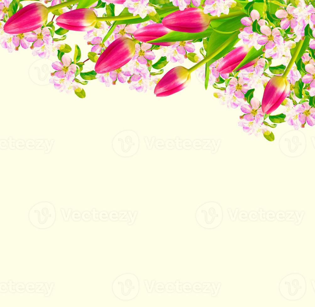 Bright colorful spring flowers photo