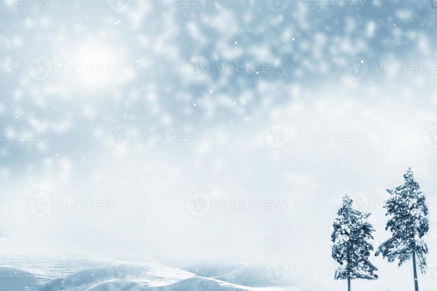 Frozen winter forest with snow covered trees. photo