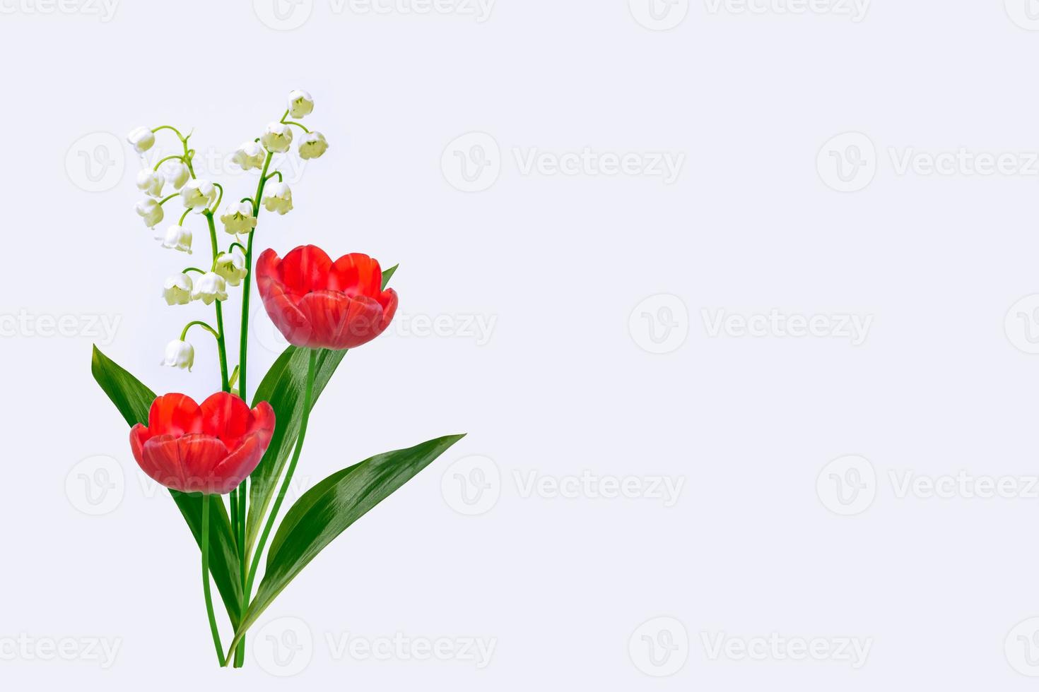 Lily of the valley flower on white background photo