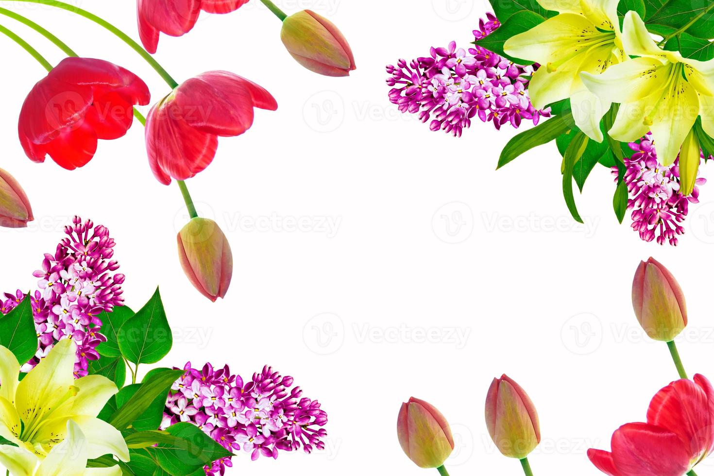 colorful spring flowers isolated on white background. floral background. photo