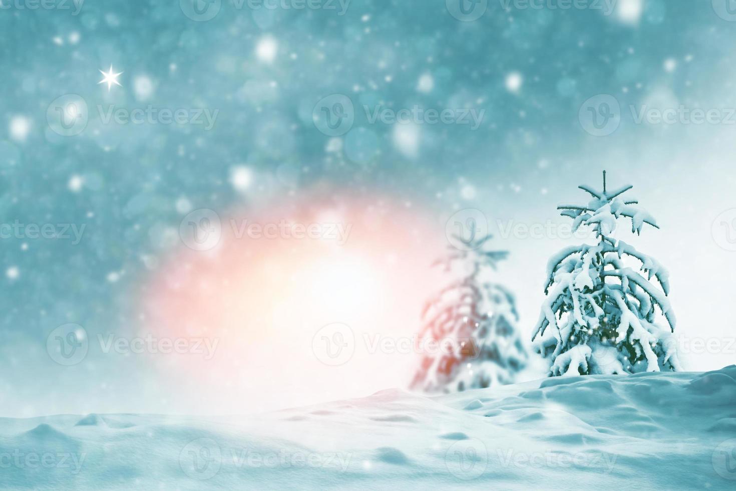 Frozen winter forest with snow covered trees. photo