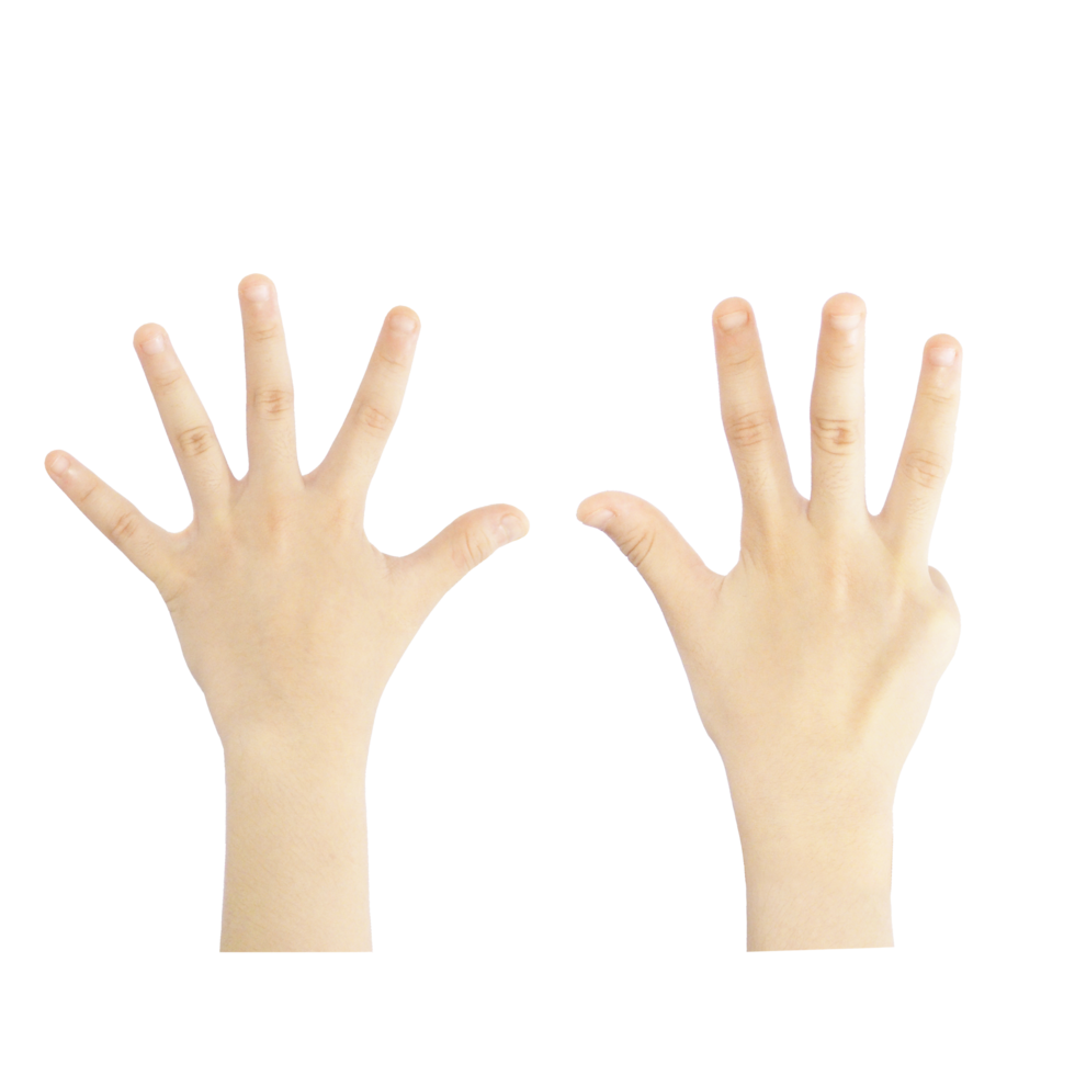 Numbering fingers from one to ten png