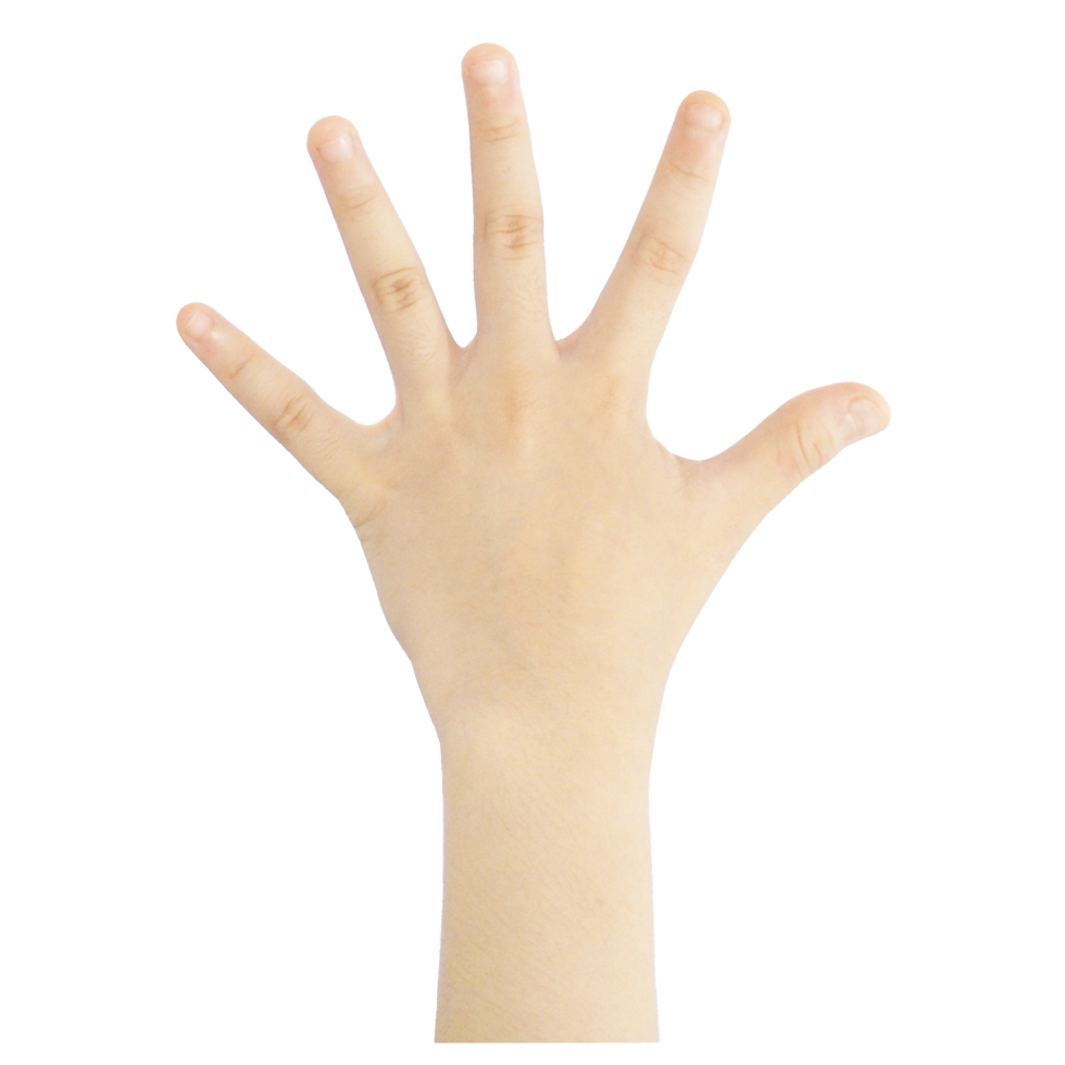 Numbering fingers from one to ten png