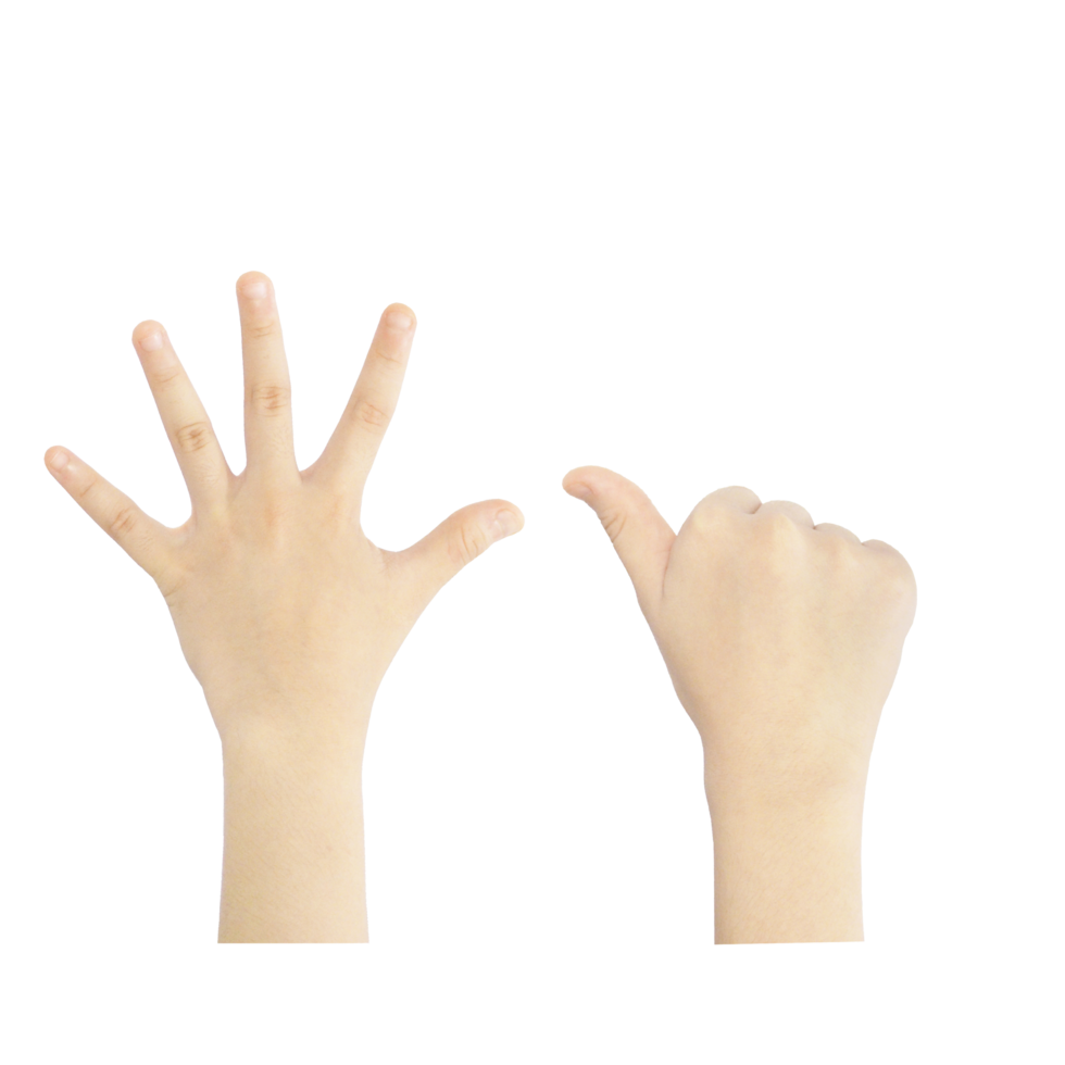 numeración de los dedos del uno al diez png