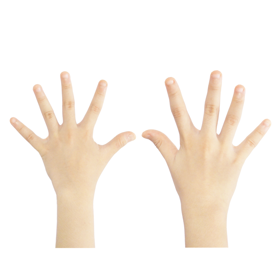 Numbering fingers from one to ten png