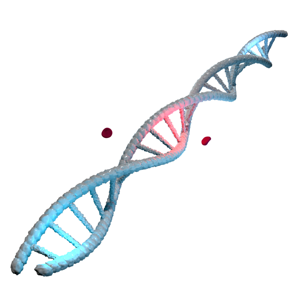 illustrazione 3d della struttura genetica dell'elica del dna png