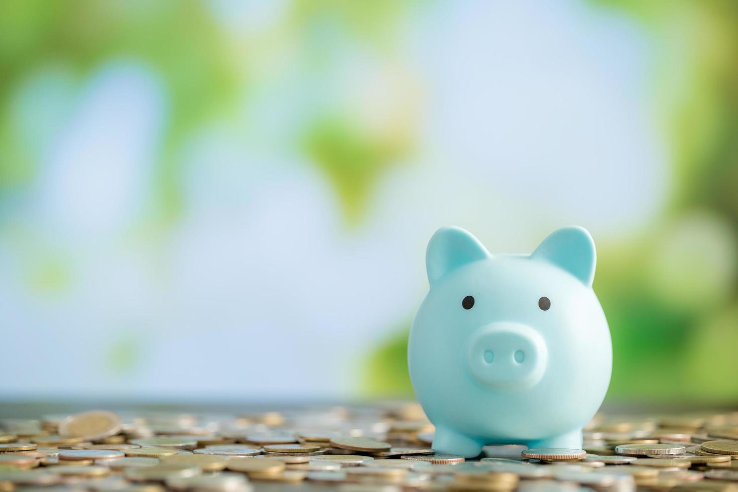 Blue piggy bank on wooden table photo