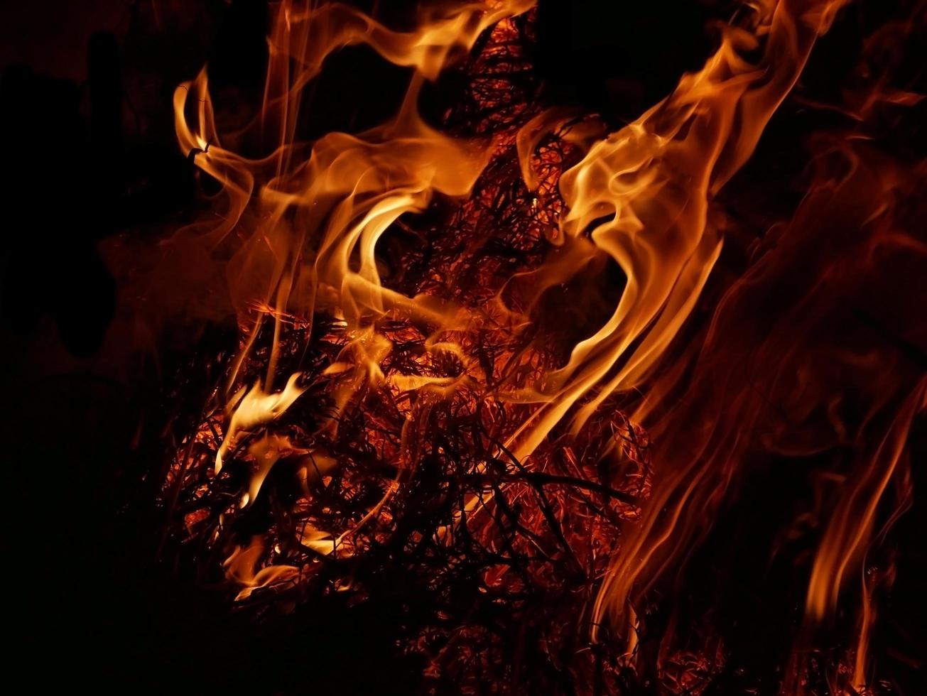 A beautiful flame shaped as imagined. like from hell, showing a dangerous and fiery fervor, black background photo