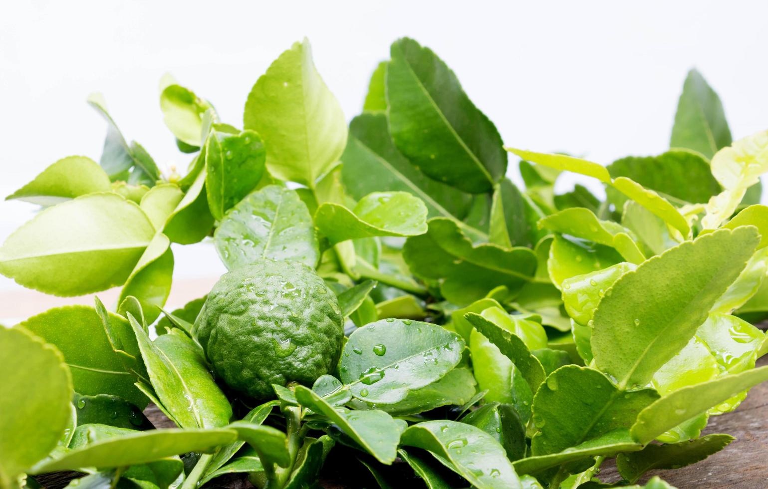 bergamot leaves on white photo
