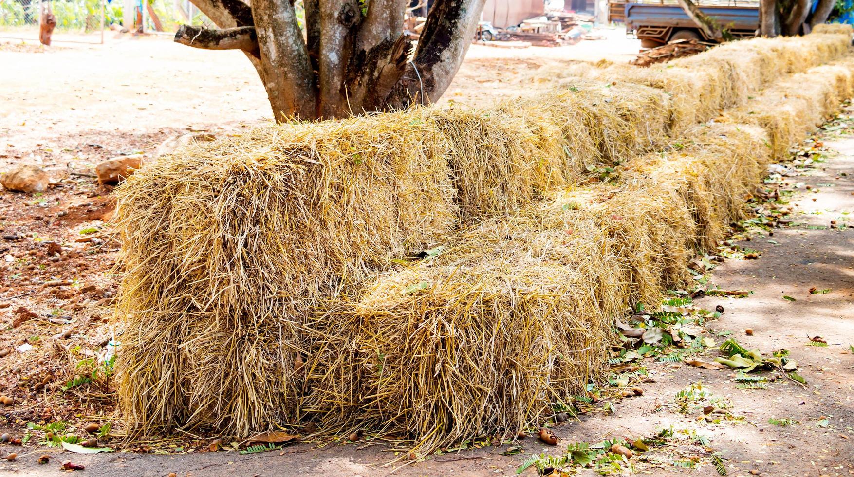 row of haystacks photo