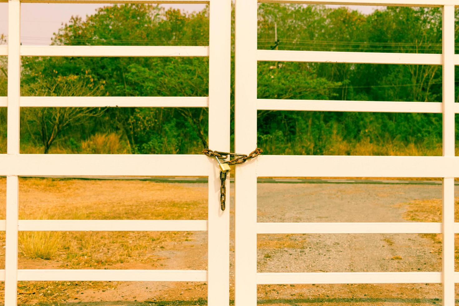 rusty old chain lock gate photo